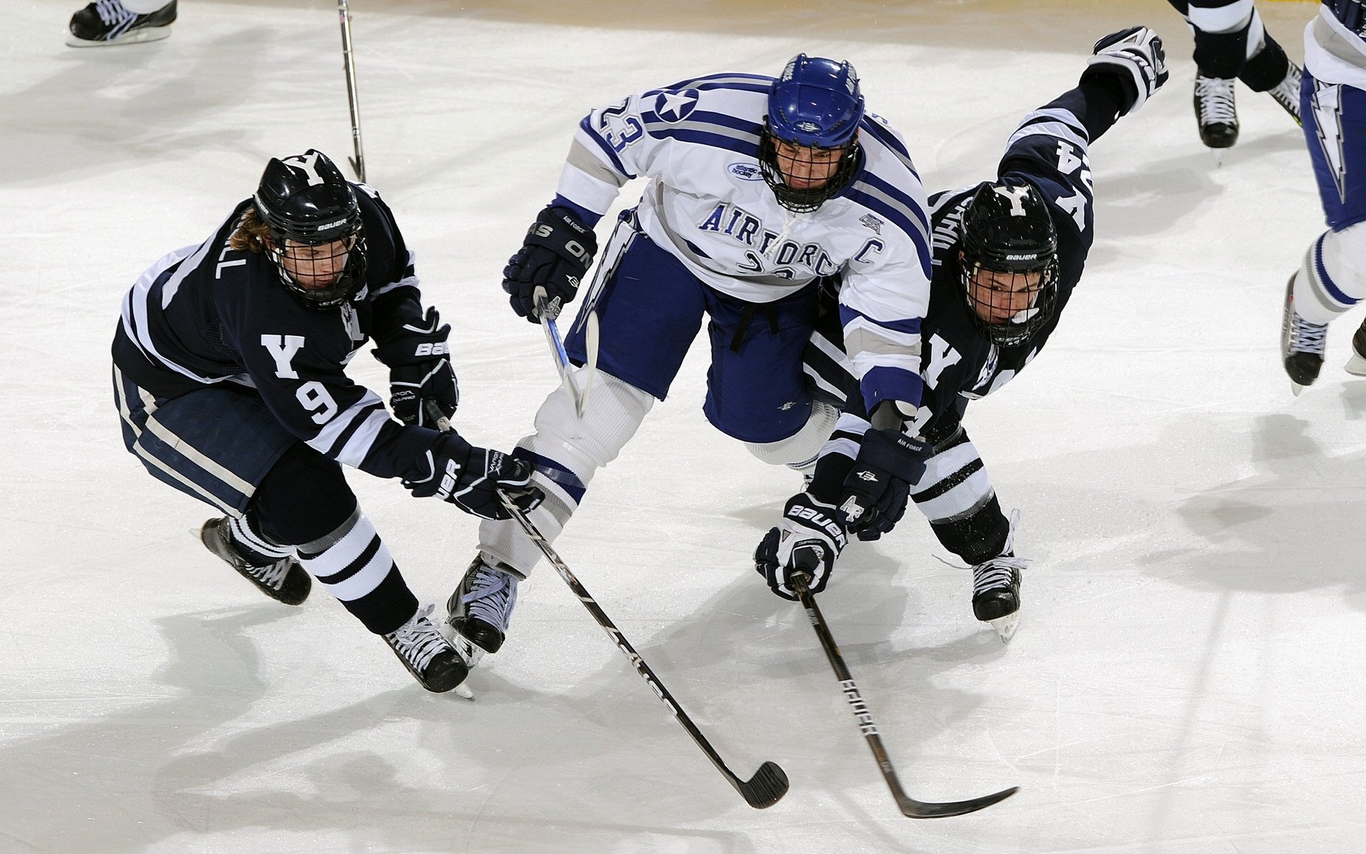 NBA球队新秀表现盘点，nba新秀的定义
