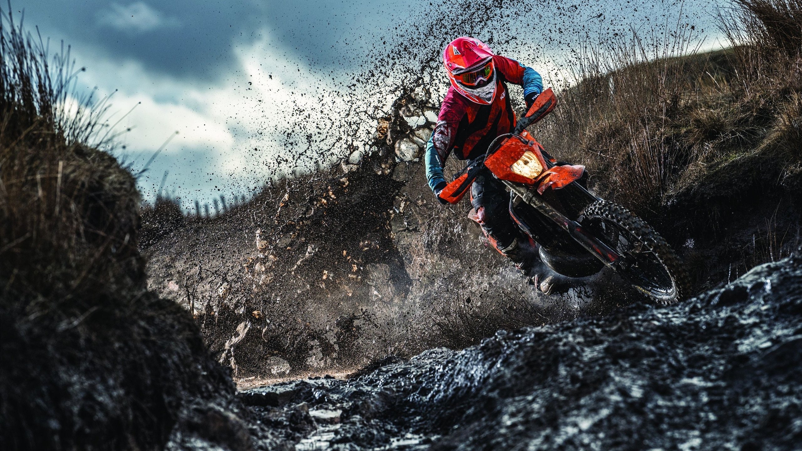 曼联豪取多连胜，向联赛冠军发起冲刺